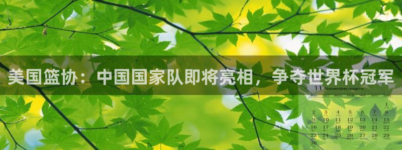 世界杯今年：美国篮协：中国国家队即将亮相，争夺世界杯冠军