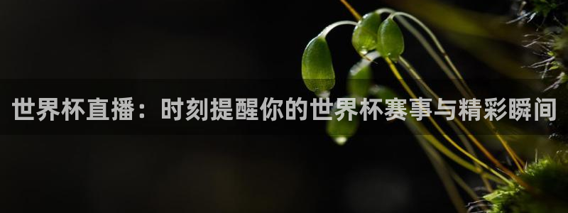 世界杯亚洲预选赛18强赛程：世界杯直播：时刻提醒你的世界杯赛事与精彩瞬间