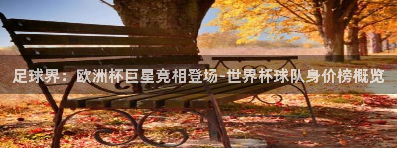 世界杯直播网站：足球界：欧洲杯巨星竞相登场-世界杯球队身价榜概览