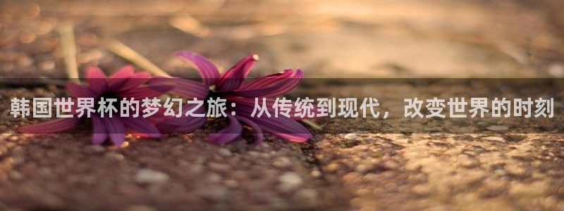 女足世界杯赛程：韩国世界杯的梦幻之旅：从传统到现代，改变世界的时刻