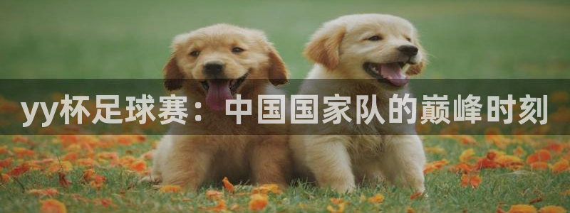 世界杯预选赛欧洲：yy杯足球赛：中国国家队的巅峰时刻