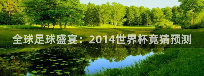 世界杯足球赛：全球足球盛宴：2014世界杯竞猜预测