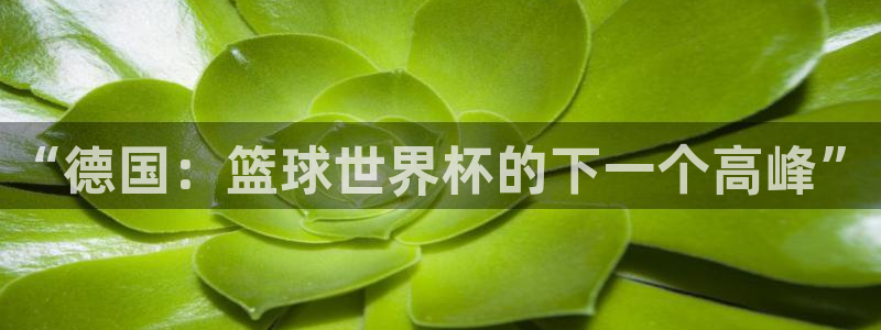 美国世界杯：“德国：篮球世界杯的下一个高峰”