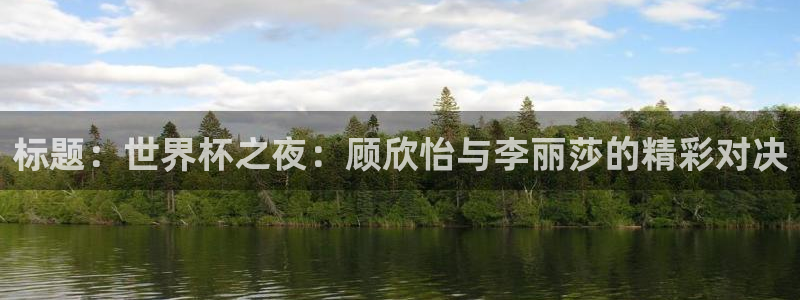 世界杯时间：标题：世界杯之夜：顾欣怡与李丽莎的精彩对决