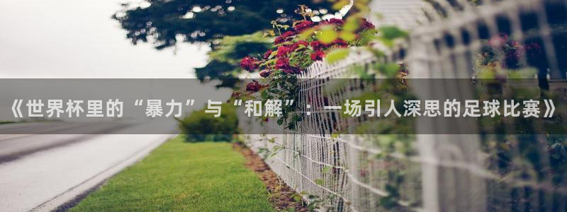 世界杯亚洲区预选赛：《世界杯里的“暴力”与“和解”：一场引人深思的足球比赛》