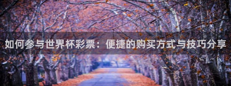 世界杯足球赛2026：如何参与世界杯彩票：便捷的购买方式与技巧分享