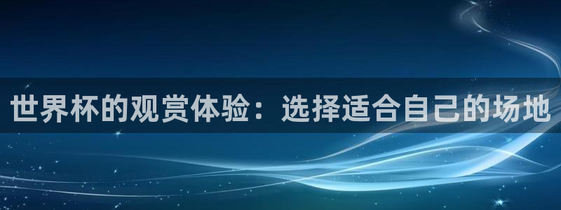 国际足联世界杯：世界杯的观赏体验：选择适合自己的场地