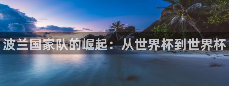 世界杯欧洲区预选赛赛程：波兰国家队的崛起：从世界杯到世界杯