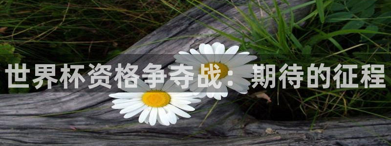 世界杯预选赛赛程时间表：世界杯资格争夺战：期待的征程