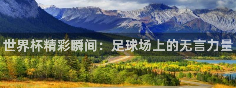 世界杯 中国：世界杯精彩瞬间：足球场上的无言力量